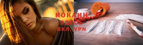 spice Лиски