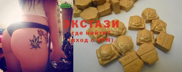 шишки Лабытнанги