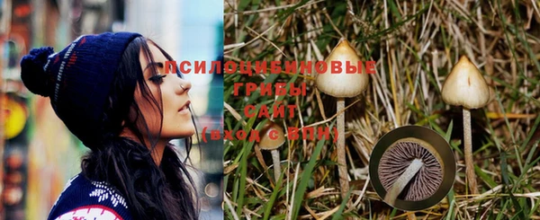 гашик Лихославль