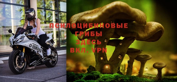 гашик Лихославль