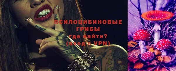 spice Лиски
