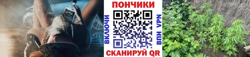 купить  цена  Черемхово  Шишки марихуана тримм 
